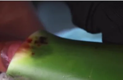 Jerking Off With Aloe Vera Ultil I Nut A Thick Load