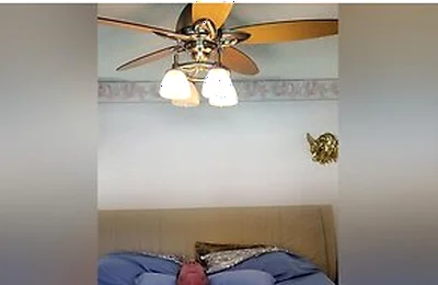 Stepdaddy On Cam