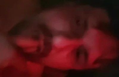 Piss, Piss, Piss!