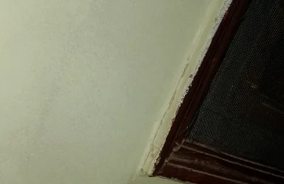 Sexy Mood Morning Bottom