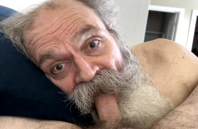 Old Hairy Daddy Bear Sucks Boy