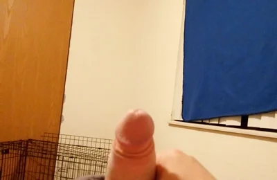 12-13-2025 Feeling Cute