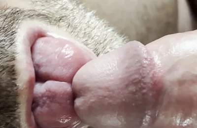 Buddy Gives a Blowjob While Stepdaddy Smokes