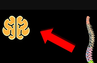 The Science Behind Male Multiple Orgasms