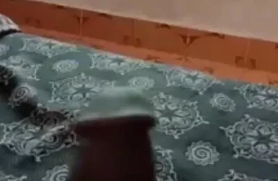Indian.