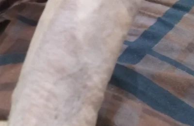 Handsome Boy Masturbation