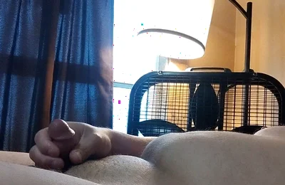 Solo Cock Jerk