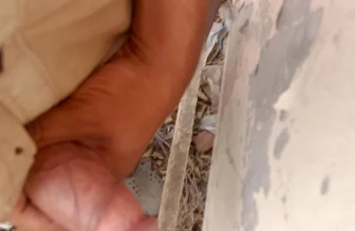 Big Cock Mastrubation Young Boy