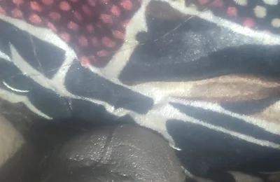 I Saw My Stepbrother Shaking His Penis