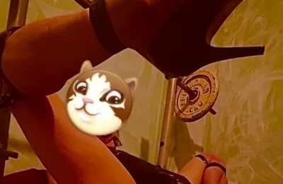 Anal spreader