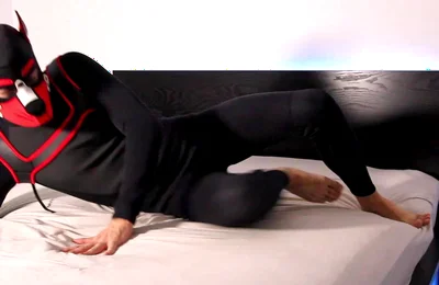 Horny Neoprene Puppy Humping and Teasing Himself