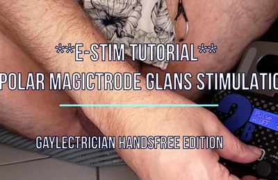 Gayleectrician Ehfo Edition 260321