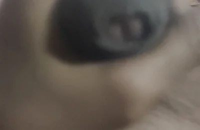 Aunty's Pussy Became Wet After Seeing My Penis.