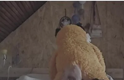 Plush Fox Love