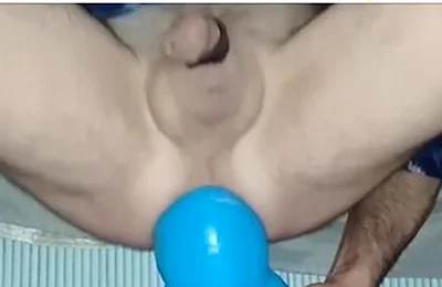 Videos Me Taking My New Toy Xl Cole Great Dane