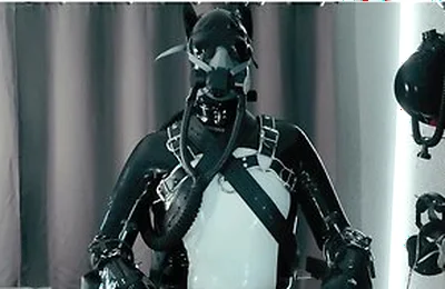 Rubber Pup Bound [pp Training]