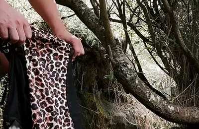 Wild Pussy in the Forest