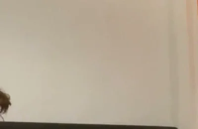 You Got a 2-4-1 Today Boys. Enjoy.