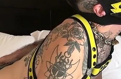 Horny Pups Fucking