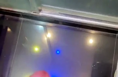 Some of My Best Cumshots