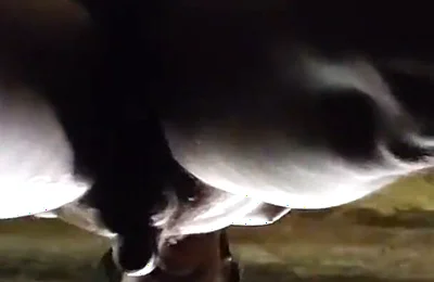 Jerking, Cumming and Playing with My Body
