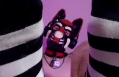 Bare Pup Paws Right in Your Face