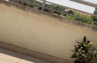 Showing off to the Neighbours ‍
