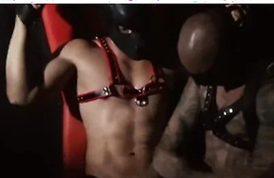 Mask Man Gymmate Fills Damian Dragon Hungry Hole