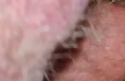 Experience with Bear Stepdaddy