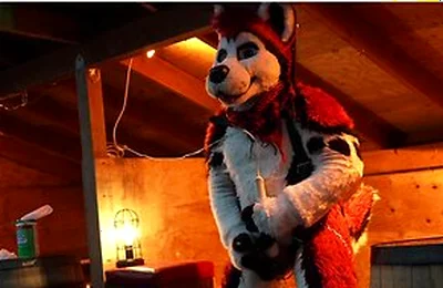 Husky Fursuiter Suspension Jerkoff
