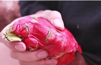 I Was So Horny I Fucked A Dragon Fruit