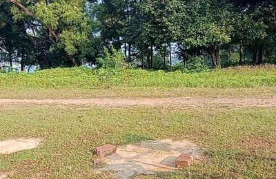 Jangal Me Mangal Bhola Sexy Boy