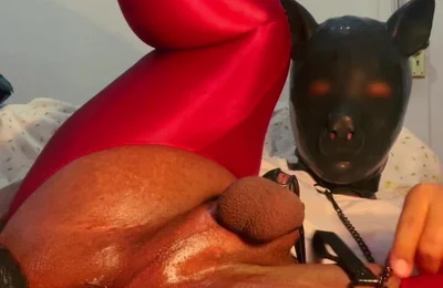 Please Insert a Very Thick Dick with a Leash Into My Ass and Whip Me a Lot While I Hold This Position.