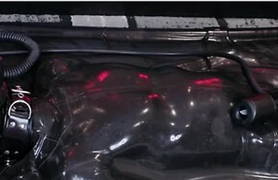 V11 Vv11 [pp Training]