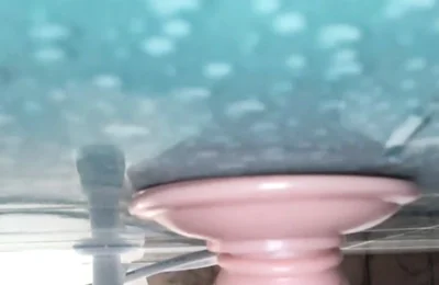 6 Inch Dildo Fucking My Hungry Assh